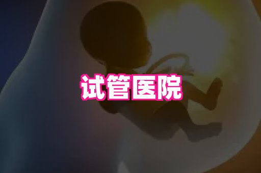 潍坊助孕网 3